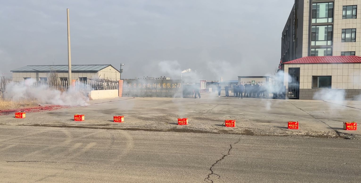 1771999003265724.png 4.png